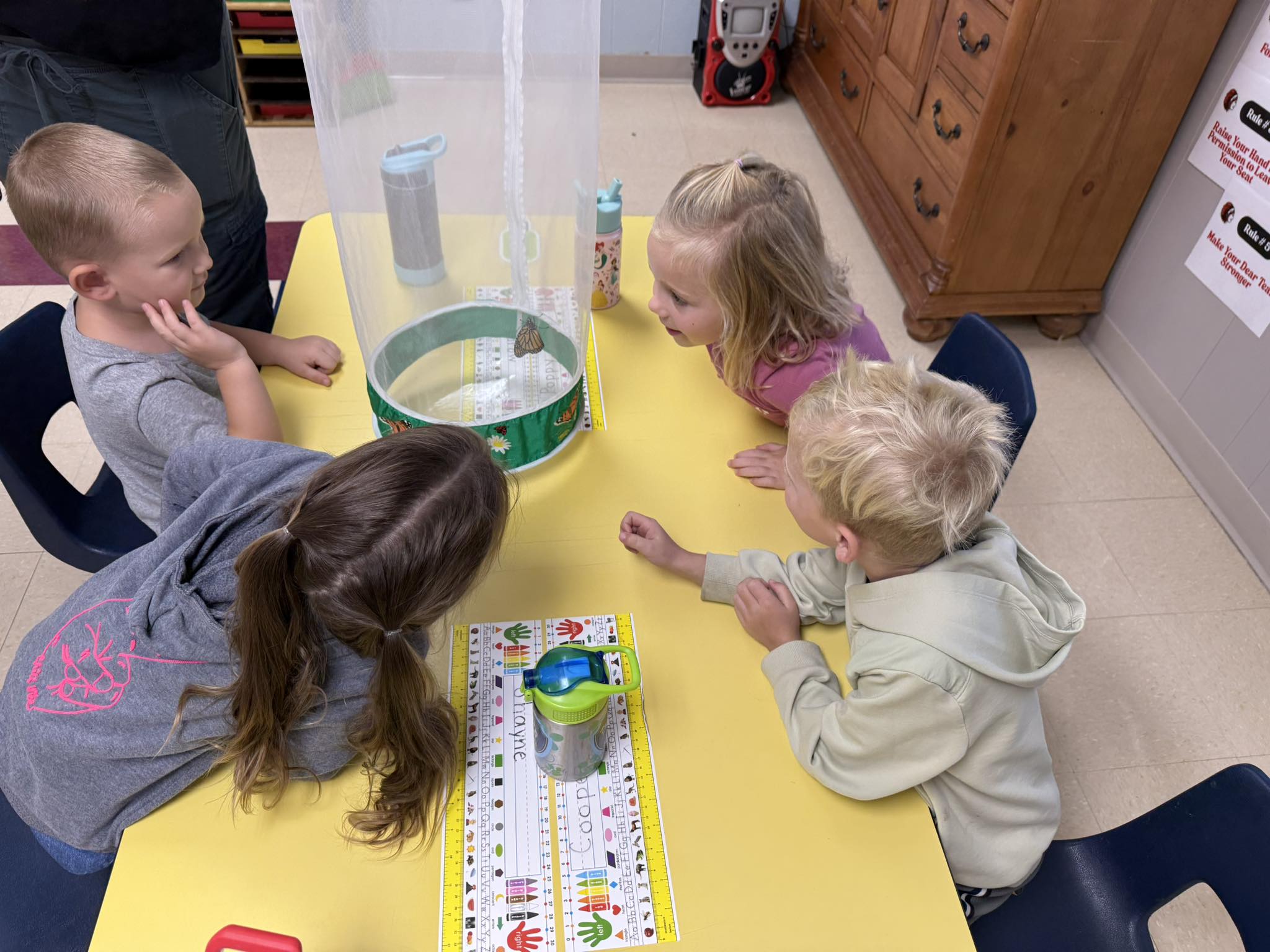 552821555_10161602221001123_6449724323354722037_n